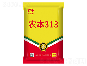 ũ��313-��������-������ҵ