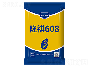 ¡��608-��������-������ҵ