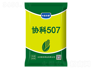 Э��507-��������-������ҵ