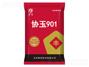 Э��901-��������-������ҵ