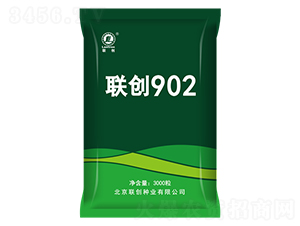 ����902-��������-������ҵ