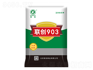 ����903-��������-������ҵ