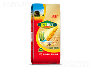 ��867-С������-������ҵ
