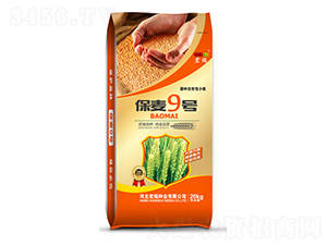 ����9�ţ�20kg��-С������-������ҵ