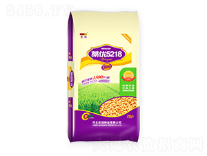 ޻��5218-С������-������ҵ
