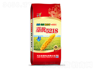 ޻��5218���죩-С������-������ҵ