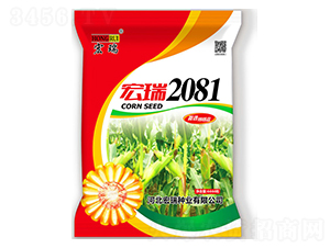 ����2081-��������-������ҵ