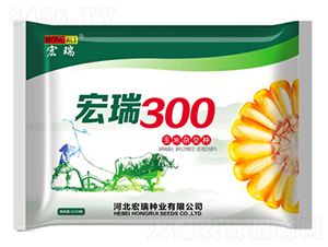 ����300-��������-������ҵ