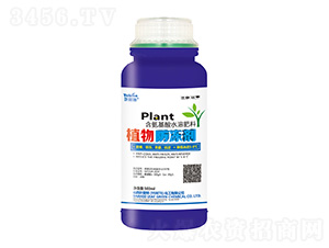 500mlֲ�������-Ҷ����