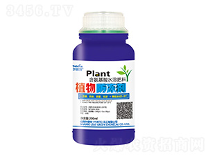 200mlֲ�������-Ҷ����