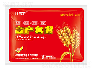 С��߲��ײ�-Ҷ����