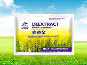 ��ƽ�-������-����
