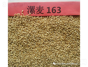 ����163-С������-������ҵ