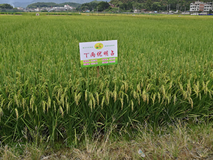 T������ռ-ˮ������-������ҵ