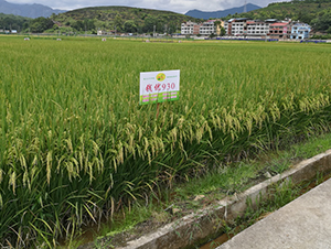 Ǯ��930-ˮ������-������ҵ