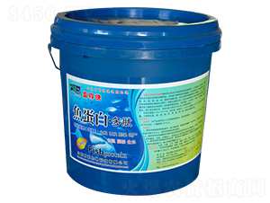 �㵰�׶���-��������