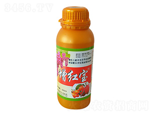 ���챦-�̶�
