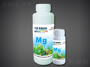 ���幦���ͷ���Mg-�̽����