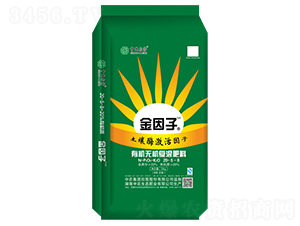 �л�-�޻��������20-5-8-������1+1-��ũ��̬