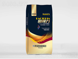 10�ڻ��΢�������-������-��˶��ũ