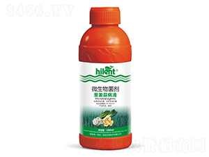 1000ml΢�������-�н��ⲡ��-������