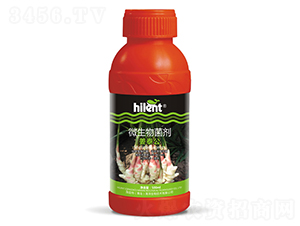 500ml΢�������-��̩��-������