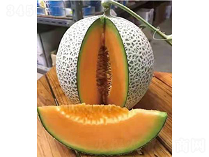 ��ʥ��M17-12-�������-��ʥ��