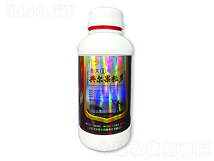 ���1��-�˶�������-�˶�ũҵ