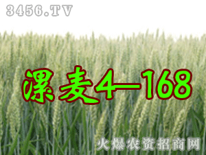 ��������4-168