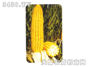 ����99