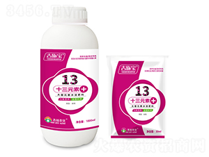 13Ԫ��-��ʩ��-��ԣũ��