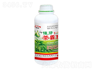 �����1000ml-����ʩ