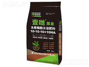����ֲ��ˮ�ܷ���10-10-10+10HA-Ҽ�O���ڽ�-ŵ�Ͻ�