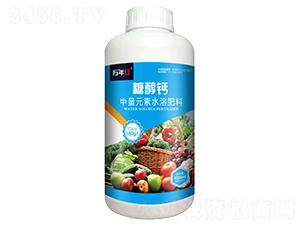 1000ml�Ǵ���-�����-ŵ�Ͻ�