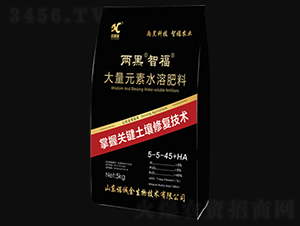 ����Ԫ��ˮ�ܷ���5-5-45+HA-���ڡ��Ǹ�-ŵ�Ͻ�