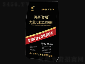����Ԫ��ˮ�ܷ���19-19-19+HA-���ڡ��Ǹ�-ŵ�Ͻ�