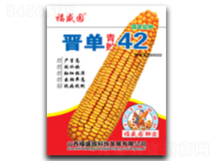 ��������42��-��������-ǿʢ��ҵ