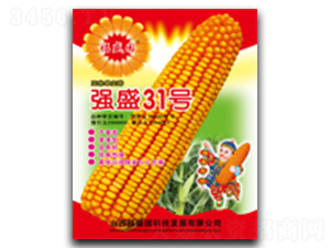 ǿʢ31��-��������-ǿʢ��ҵ