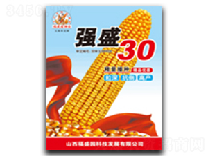 ǿʢ����30-��������-ǿʢ��ҵ