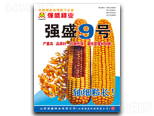 ǿʢ9��-��������-ǿʢ��ҵ