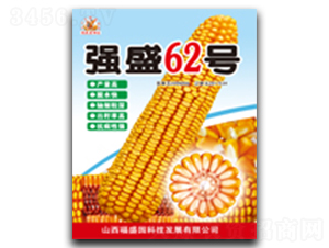 ǿʢ62��-��������-ǿʢ��ҵ