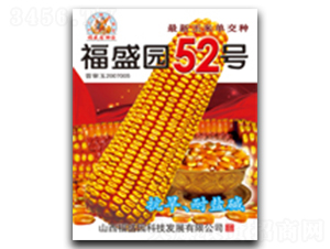 ��ʢ԰52��-��������-ǿʢ��ҵ