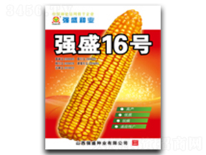 ǿʢ16��-��������-ǿʢ��ҵ