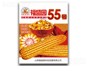 ��ʢ԰55��-��������-ǿʢ��ҵ