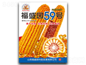 ��ʢ԰59��-��������-ǿʢ��ҵ