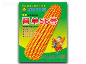 ����56��-��������-ǿʢ��ҵ
