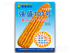 ǿʢ101��-��������-ǿʢ��ҵ