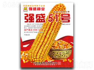 ǿʢ51��-��������-ǿʢ��ҵ