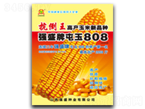ǿʢ������808-��������-ǿʢ��ҵ