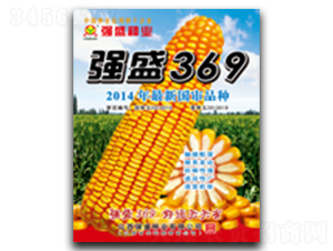 ǿʢ369-��������-ǿʢ��ҵ